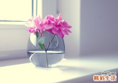 冬季女性怎样养生