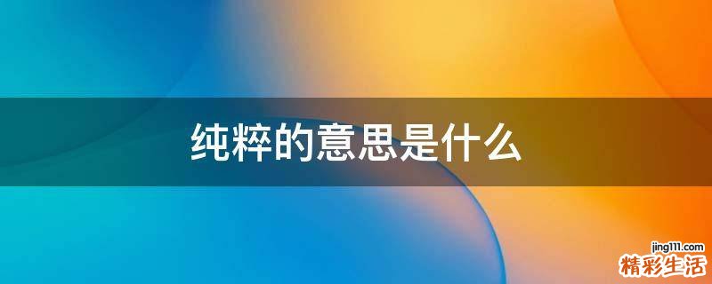 纯粹的意思是什么