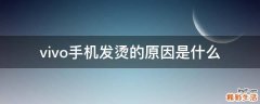 vivo手机发烫的原因是什么