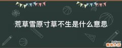 荒草雪原寸草不生是什么意思