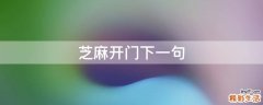 芝麻开门下一句