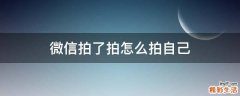 微信拍了拍怎么拍自己