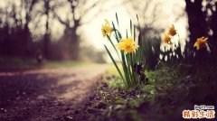 什么是腔隙性脑梗塞