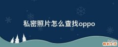 私密照片怎么查找oppo