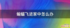 蝙蝠飞进家中怎么办