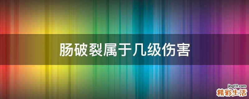 肠破裂属于几级伤害