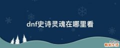 dnf史诗灵魂在哪里看