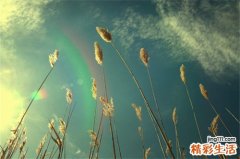 2 乱吃乌鸡白凤丸易致月经不调