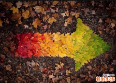 3 夏季肝火旺怎么调理