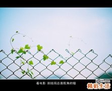 连续性肢端皮炎误诊为化脓性指头炎