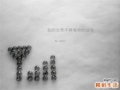 3 木麻黄种子