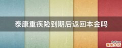 泰康重疾险到期后返回本金吗