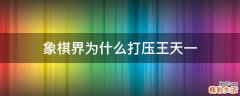 象棋界为什么打压王天一