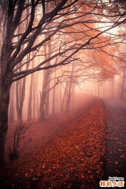 3 山楂可治女性痛经