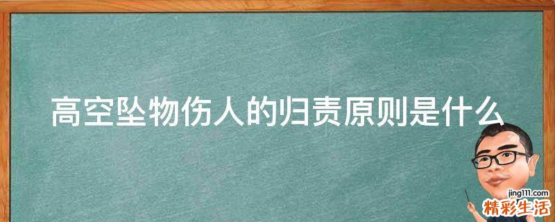 高空坠物伤人的归责原则是什么
