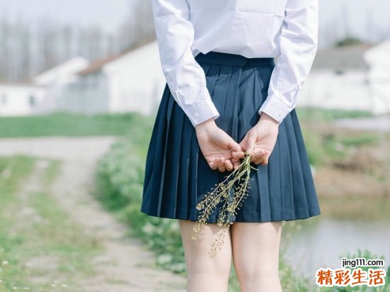 云杉球果