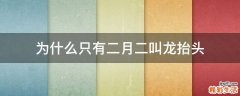 为什么只有二月二叫龙抬头