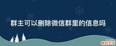 群主可以删除微信群里的信息吗