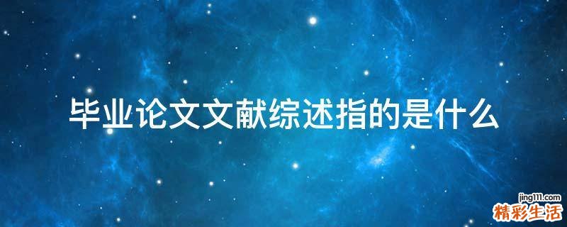 毕业论文文献综述指的是什么
