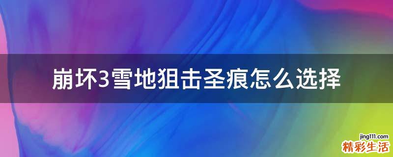 崩坏3雪地狙击圣痕怎么选择