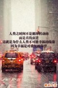 2 金雀马尾参
