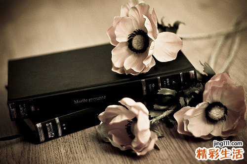 急性粒细胞白血病特点