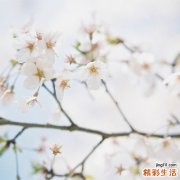 春季皮肤干燥怎么护理