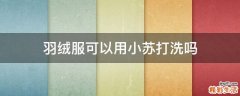 羽绒服可以用小苏打洗吗