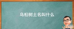 乌桕树土名叫什么