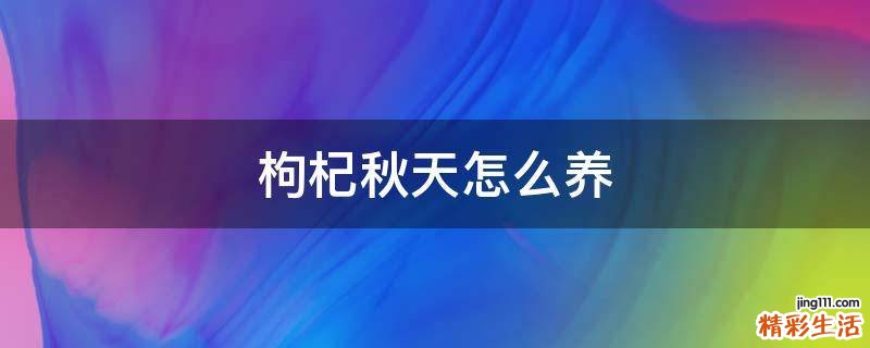 枸杞秋天怎么养