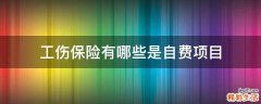 工伤保险有哪些是自费项目