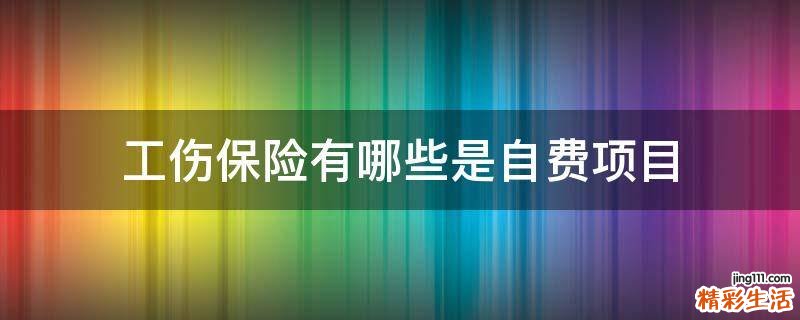 工伤保险有哪些是自费项目
