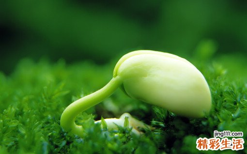 什么是韦德训练法