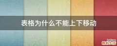 表格为什么不能上下移动
