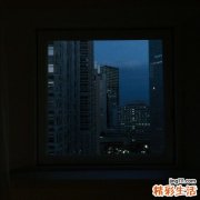 都市白领都在吃什么维生素