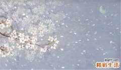 清半夏和水半夏不同点