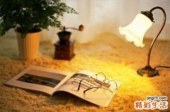 什么运动能快速减肥