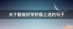 关于勤奋好学积极上进的句子