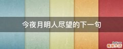 今夜月明人尽望的下一句