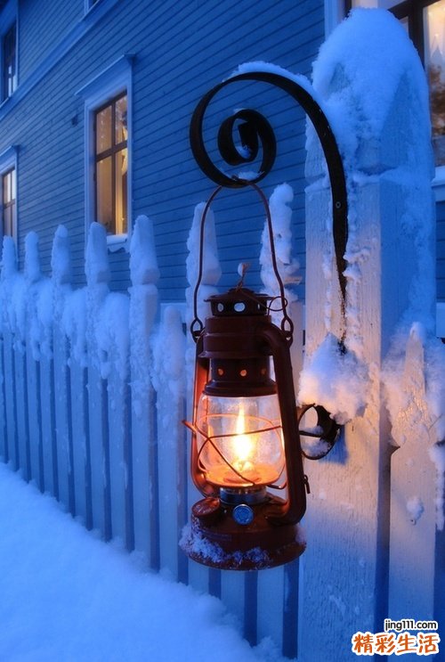 莲雾的药用价值