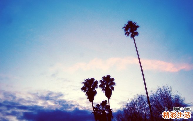 2 中医推荐养气的几款药膳