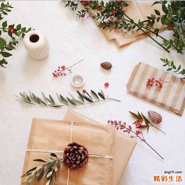 绿豆芽的营养价值