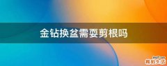 金钻换盆需耍剪根吗