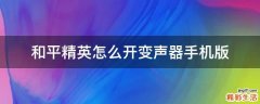和平精英怎么开变声器手机版