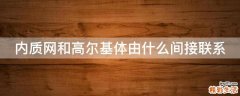 内质网和高尔基体由什么间接联系