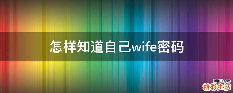 怎样知道自己wife密码