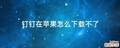 钉钉在苹果怎么下载不了