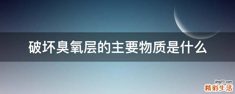 破坏臭氧层的主要物质是什么