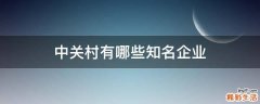 中关村有哪些知名企业