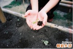 老人甲亢会很痛吗